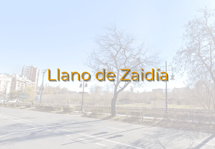 Zona Llano de Zaidia