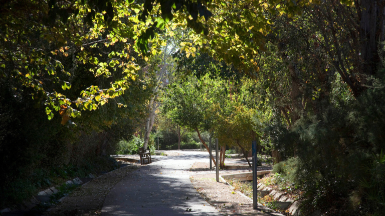 Parque de Marxalenes (imagen extraída de la web de Jardins de València)