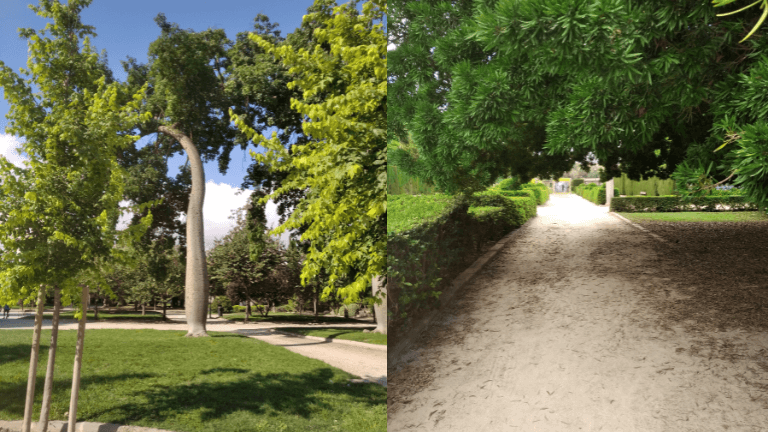 Jardines de Viveros en Valencia